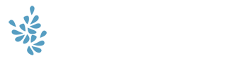 Body Wellness Products